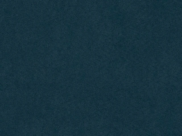 Antares (Антарес) Navy 