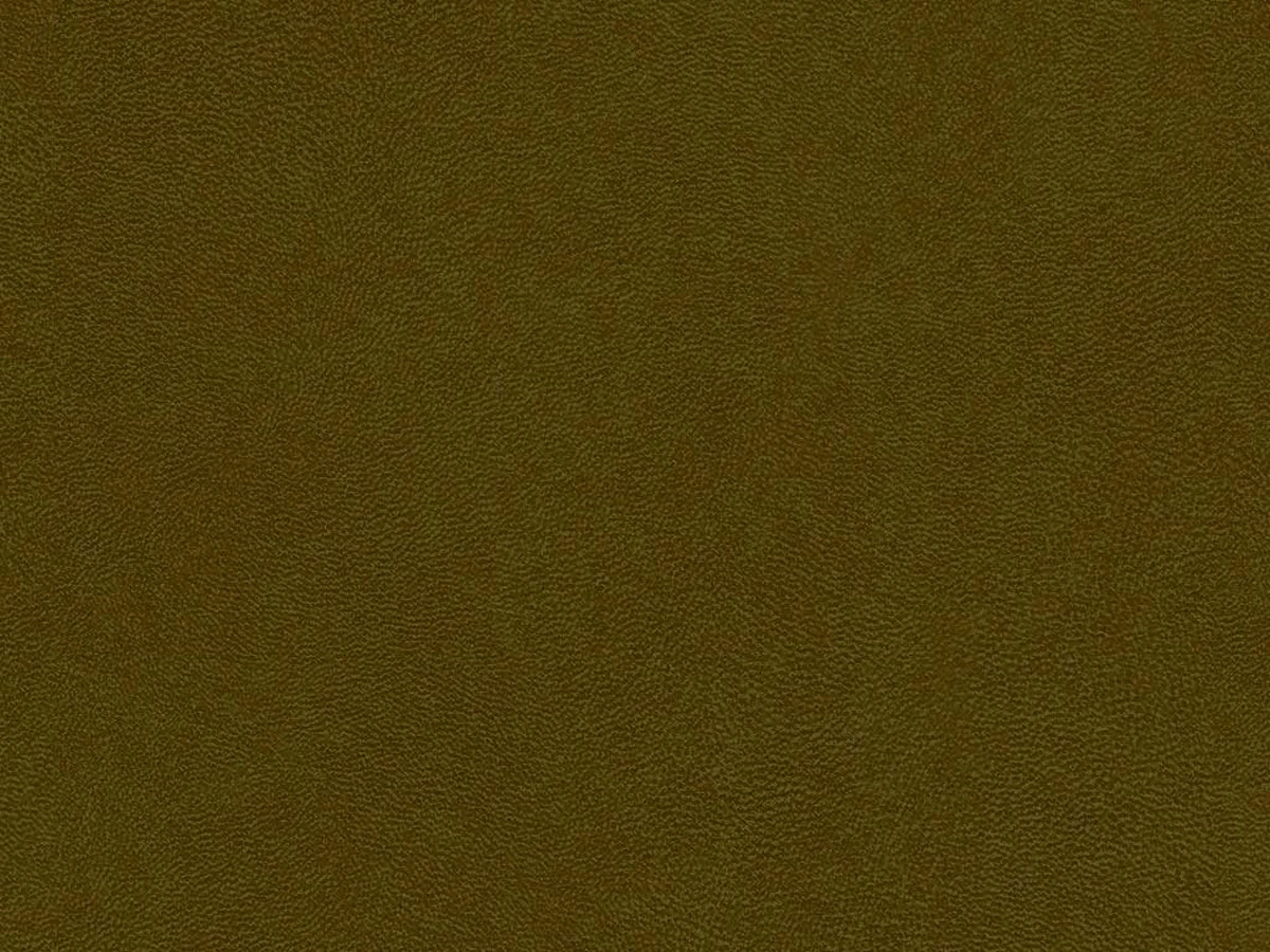 Antares (Антарес) Olive 