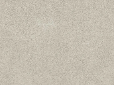 Antares (Антарес) Silver (УЦІНКА)