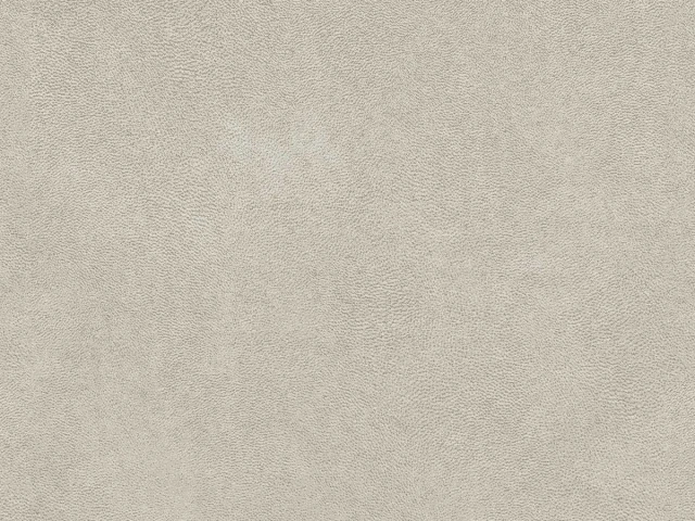 Antares (Антарес) Silver (УЦІНКА) 