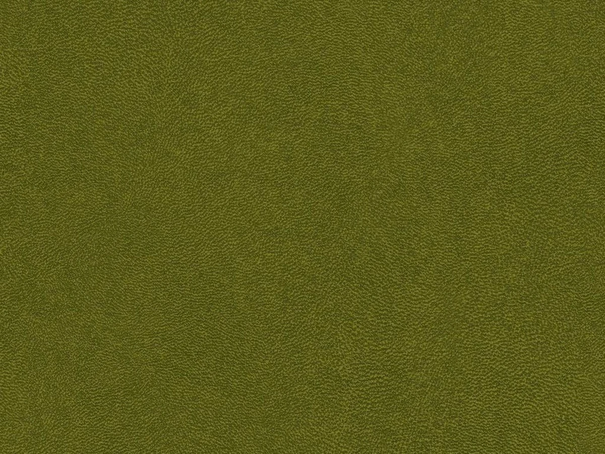 Antares (Антарес) Avocado 