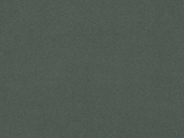 Antares (Антарес) Dark Grey (УЦІНКА) 