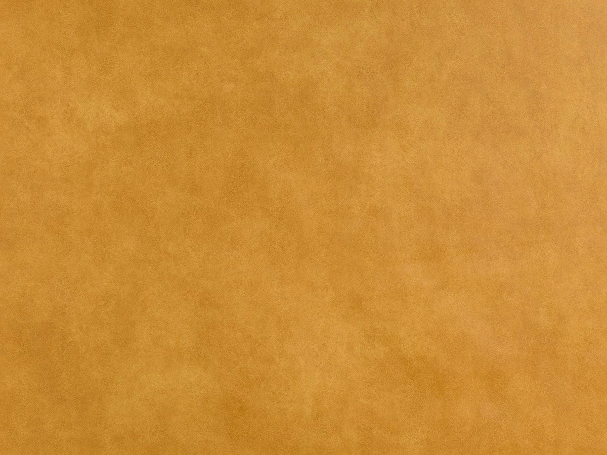 Bizon (Бізон) 2101 Помаранчевий 