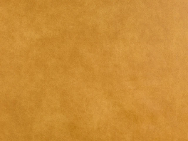 Bizon (Бізон) 2101 Помаранчевий 