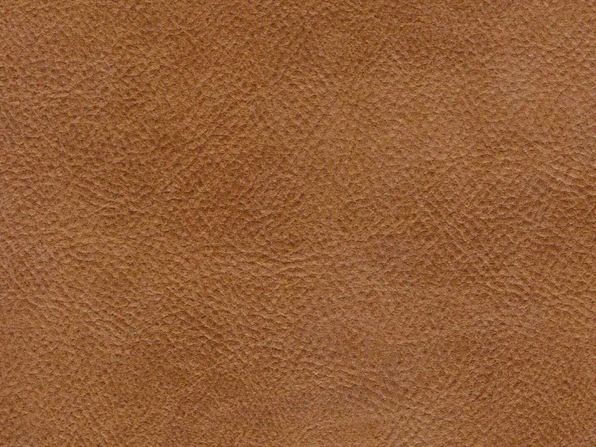 Western (Вестерн) 03 Темно-бежевий 