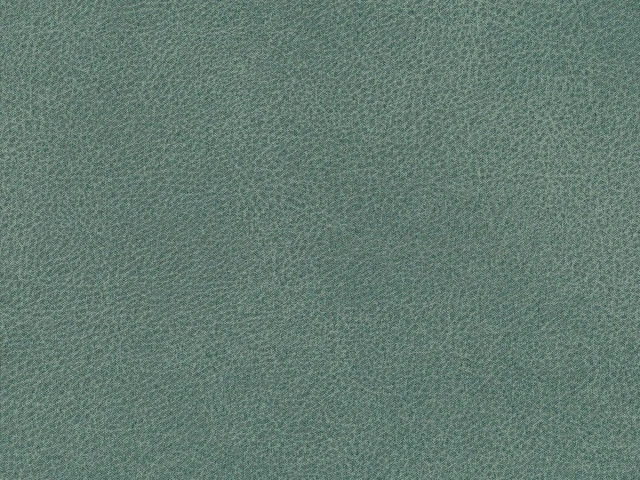 Canyon (Каньйон) 70 Бірюзовий 