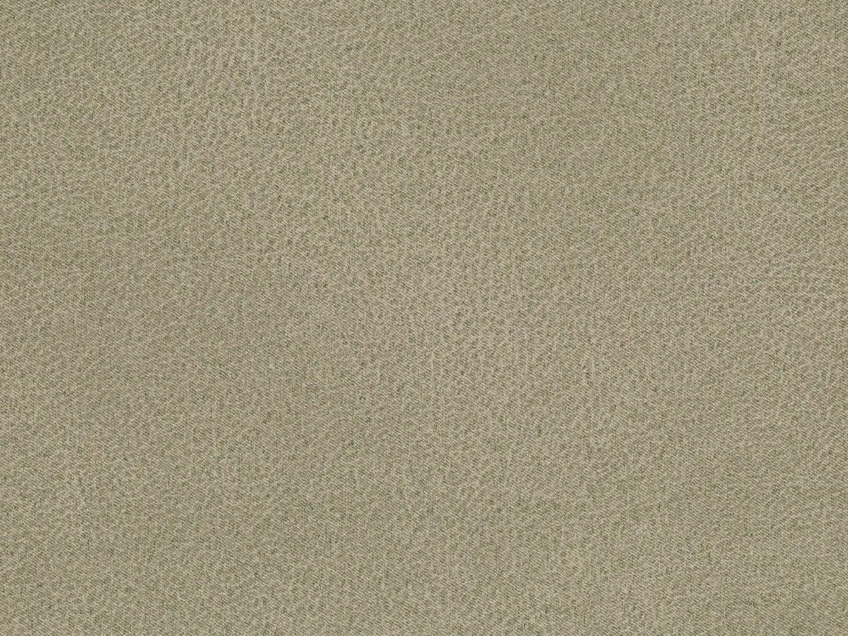 Canyon (Каньйон) 87 Мишачо-сірий 