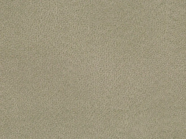 Canyon (Каньйон) 87 Мишачо-сірий 