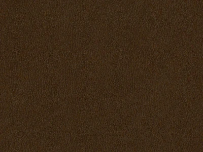 Polaris (Поларіс) Brown