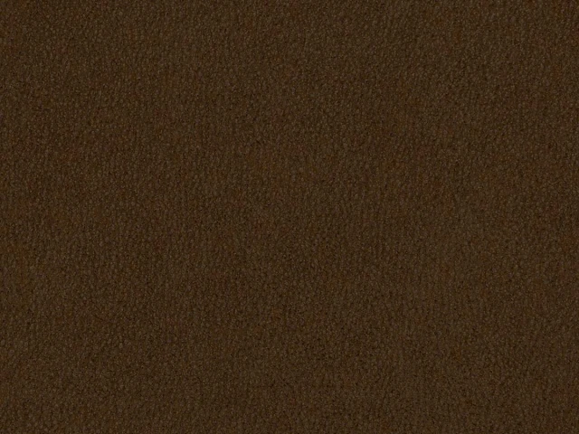 Polaris (Поларіс) Brown 