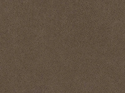 Polaris (Поларіс) Cappuccino