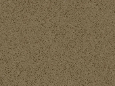 Polaris (Поларіс) Caramel