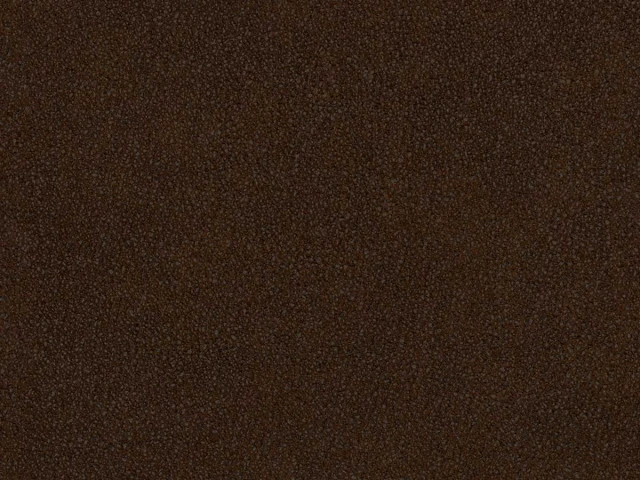 Polaris (Поларіс) Chocolate 