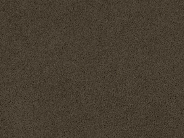 Polaris (Поларіс) Coffee 