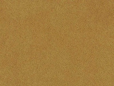 Polaris (Поларіс) Gold