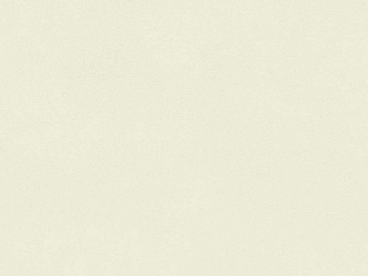 Polaris (Поларіс) White 