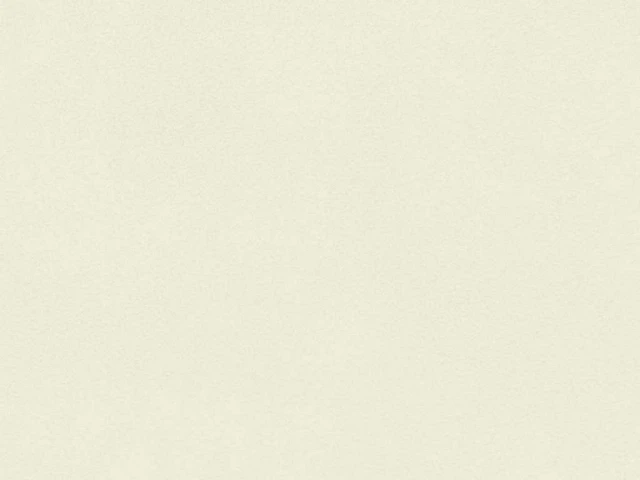 Polaris (Поларіс) White 