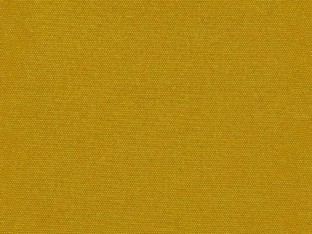 Queens (Квинс) Mustard 