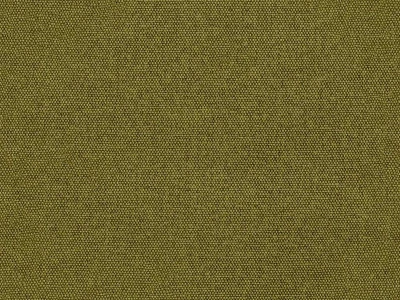 Queens (Квинс) Olive
