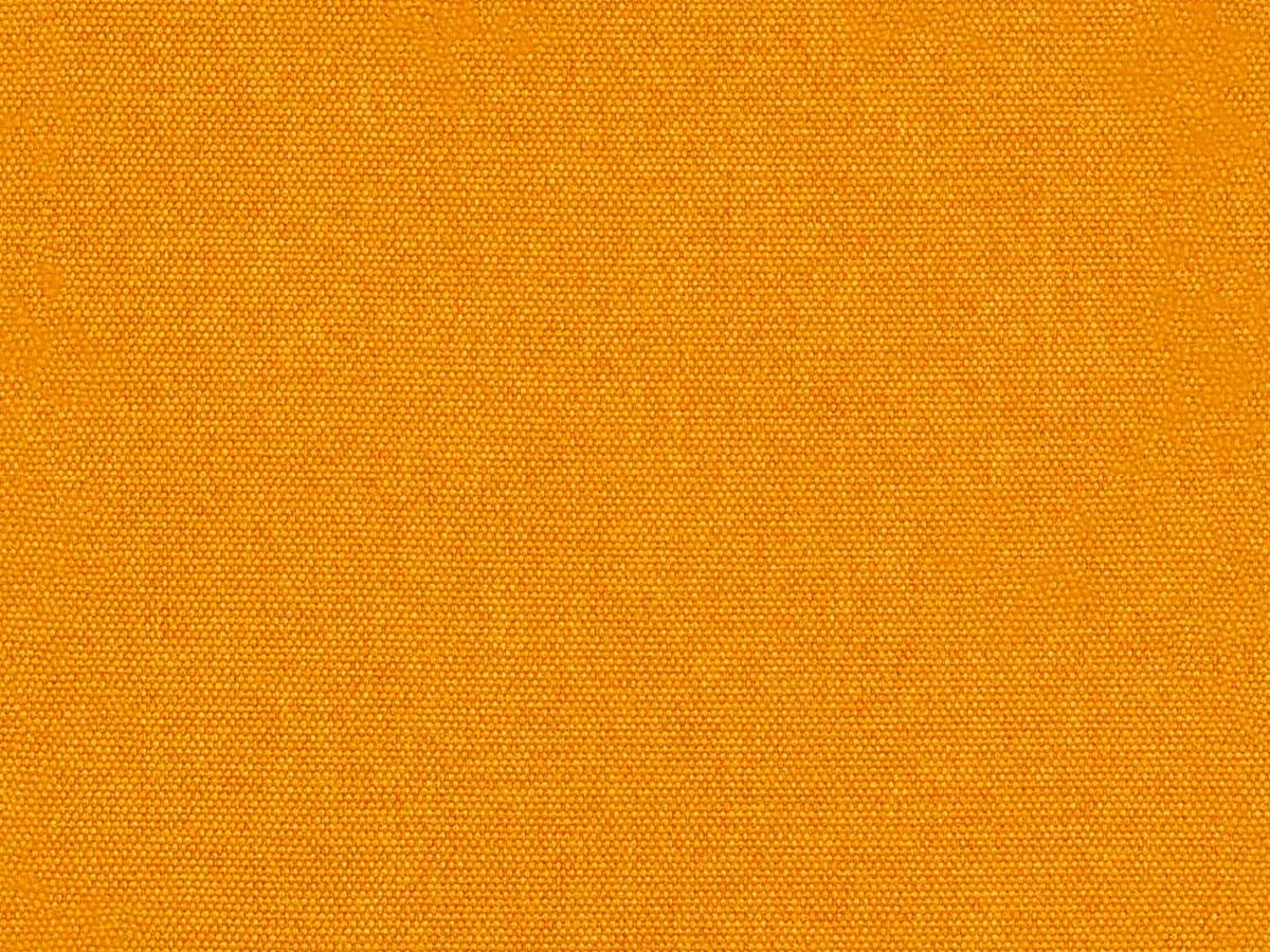 Queens (Квинс) Saffron 