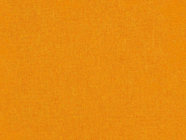 Queens (Квинс) Saffron 