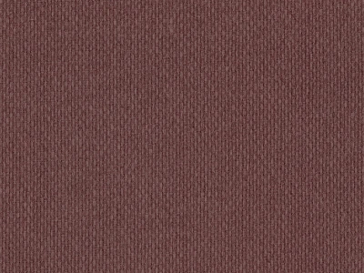 Opium (Опіум) 69 Бордово-коричневий