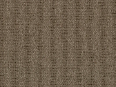 Opium (Опіум) 24 Коричнево-сірий