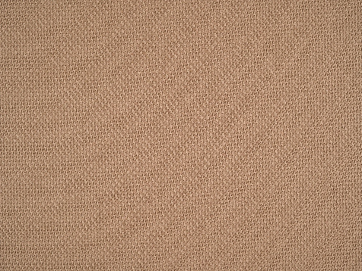 Braid (Брэйд) 3009 Карамельный 