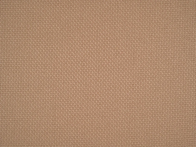 Braid (Брэйд) 3009 Карамельный 