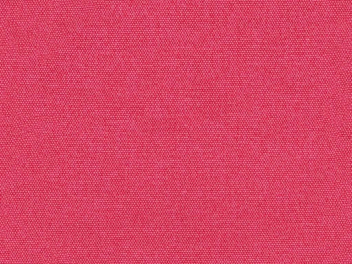 Queens (Квинс) Rose 