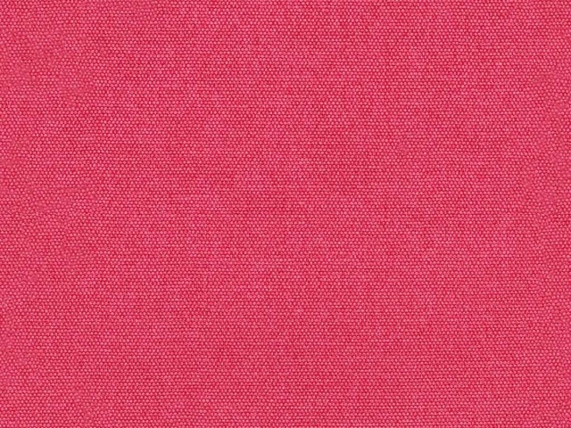 Queens (Квинс) Rose 