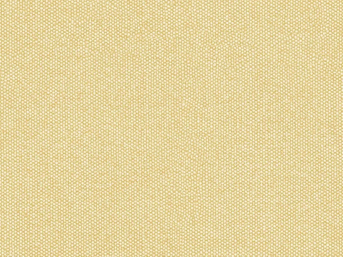 Queens (Квинс) Bone 