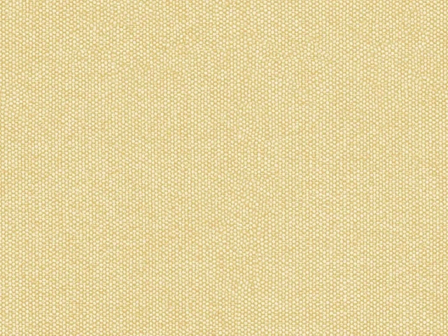 Queens (Квинс) Bone 