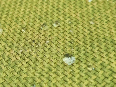 Madison (Медисон) Green