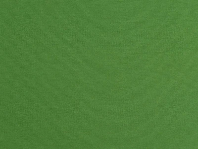 Garden (Гарден) 2842 Зеленый