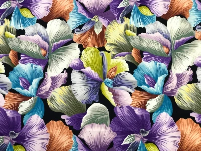 Orchid purple (Орхідея фіолетова)