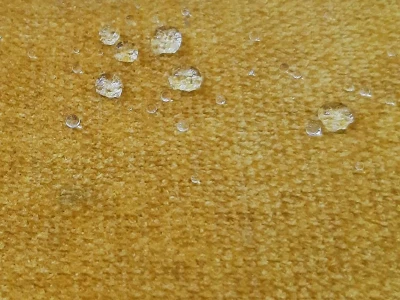 Milan (Мілан) Amber