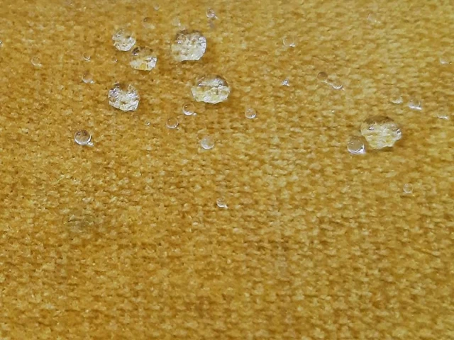 Milan (Мілан) Amber 