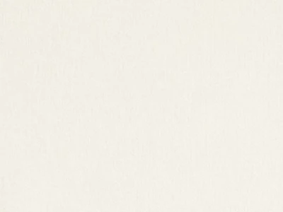 Boston(Бостон) white