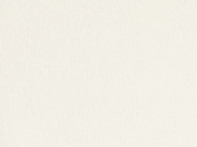 Boston(Бостон) white 