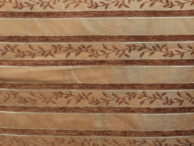 Карина браун полоса