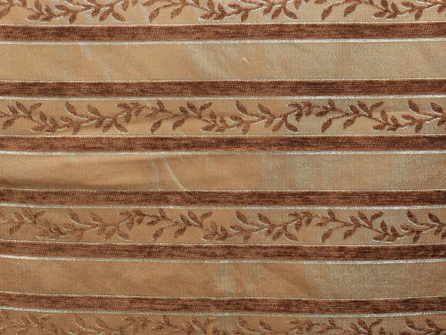 Карина браун полоса 