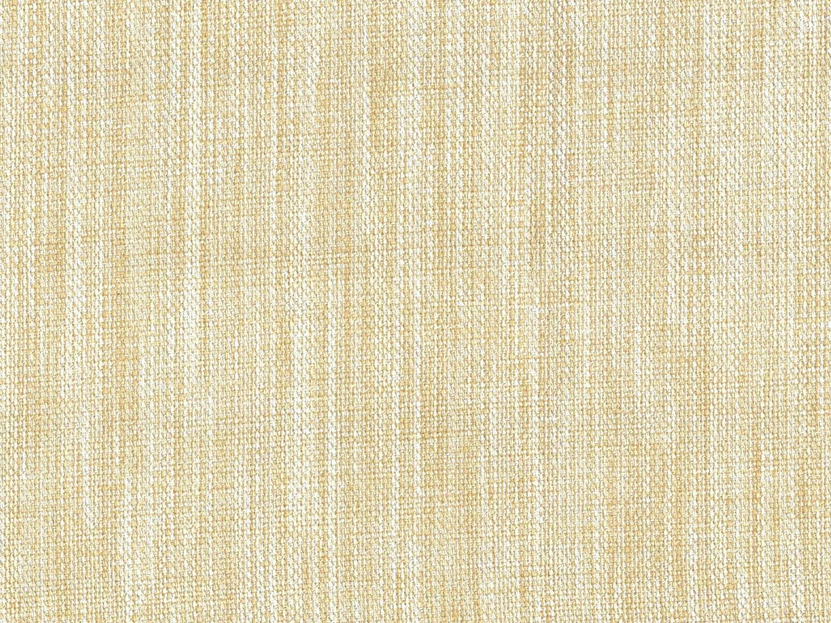 Ренессанс С-1 