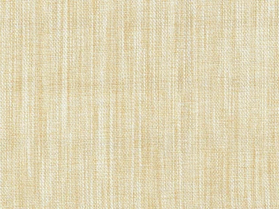 Ренессанс С-1