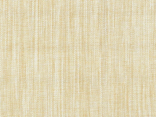 Ренессанс С-1 