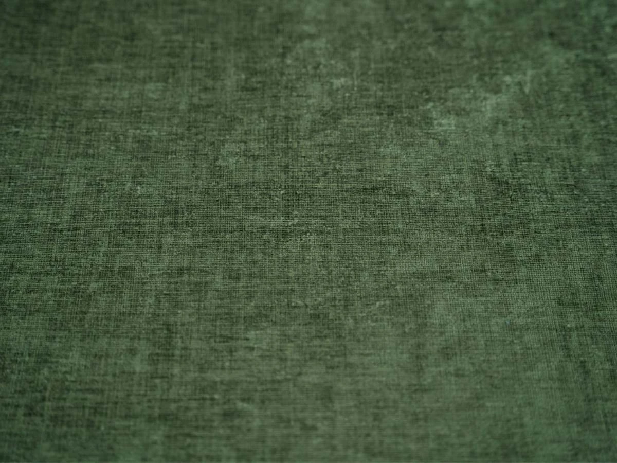 Clara (Клара) 215.10 Зелений 