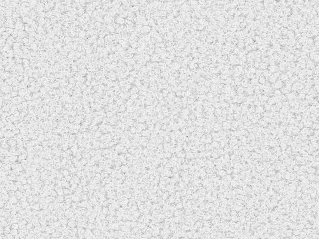 Now or Never 01 Білий 