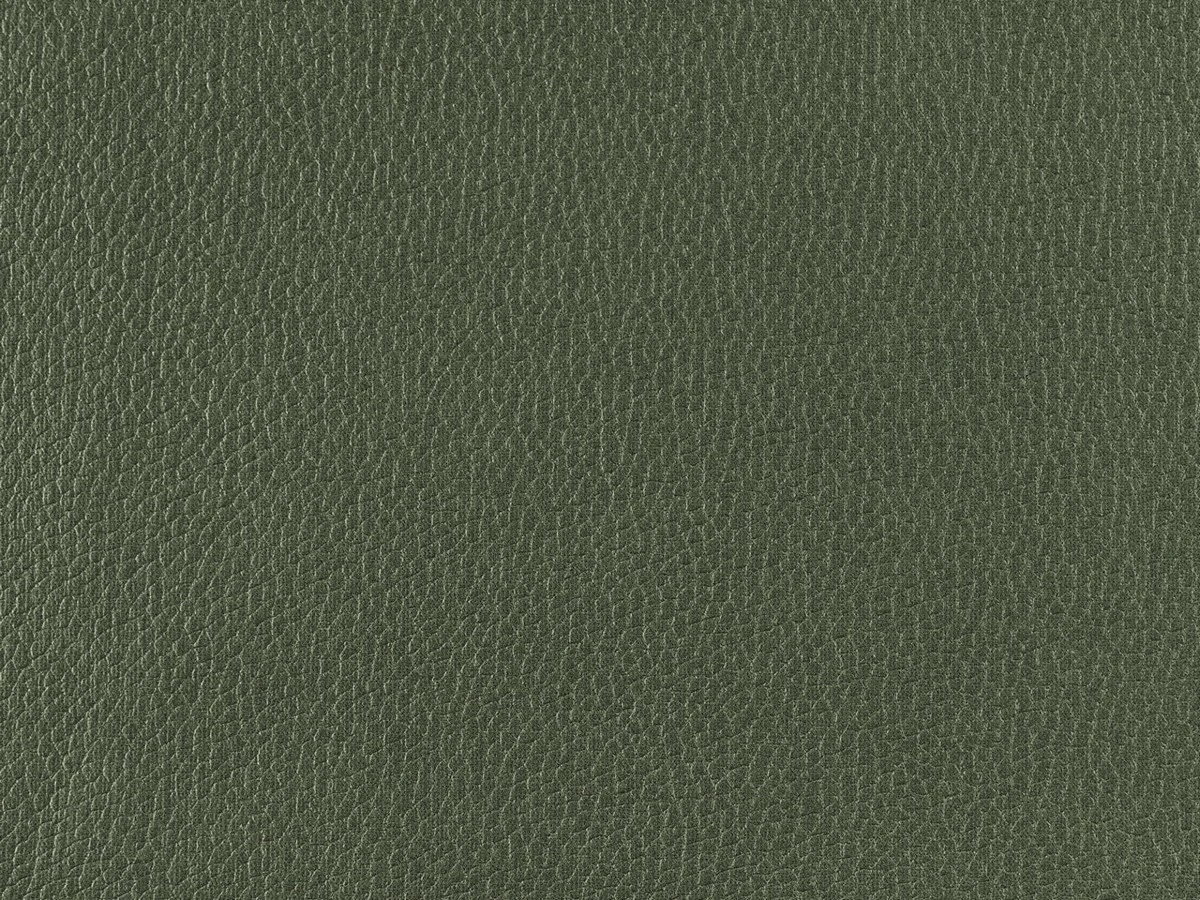 Nube (Нуб) 39 Зелений 