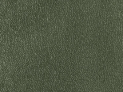 Nube (Нуб) 39 Зелений