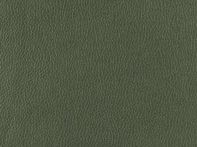 Nube (Нуб) 39 Зелений 